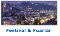festival