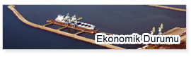 ekonomik durum